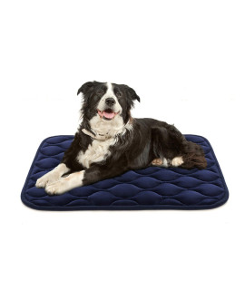 AIPERRO Dog crate Pad Washable Dog Bed Mat Dog Mattress Pets Kennel Pad for Large Medium Small Dogs and cats, 35 x 23 Blue