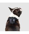 Canada Pooch No Pull Dog Harness Adjustable Dog Harness for Walking Dogs Seat Belt Harness, Front & Back D-Rings for Comfort & Control - Splatter / L