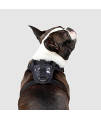 Canada Pooch No Pull Dog Harness Adjustable Dog Harness for Walking Dogs Seat Belt Harness, Front & Back D-Rings for Comfort & Control - Splatter / M
