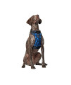 Canada Pooch Everything Dog Harness No Pull Adjustable Dog Walking Harness Geo - Size XL, XL