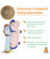 TWINCRITTERS Silvervine Unicorn 2-Pack Organic Silvervine Catnip Substitute Toys for Cats & Kittens | 100% All-Natural Wild Harvested Silvervine | 2 TWINCRITTERS Refillable Unicorn Plush Cat Toys
