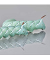 DBDPet Premium 40-55 Live Hornworms (2 Cups of 20-30ct) - Food for Bearded Dragons, Leopard Geckos, Frogs, Chameleons, Tegus, and Other Reptiles!