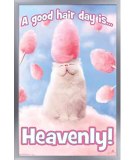 Trends International Avanti - Cotton Candy Cat Wall Poster, 22.375" x 34", Silver Framed Version