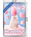 Trends International Avanti - Cotton Candy Cat Wall Poster, 22.375" x 34", Silver Framed Version
