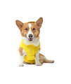 Canada Pooch Torrential Tracker Dog Rain Jacket - Easy On, Adjustable Full Body Coverage, Waterproof, Functional Pockets, Reflective Trim Rain Coat for Dogs, Great for Dogs (Yellow, 10)