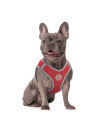 Step-in Bulldog Dog Harness - All Weather Mesh Step in Vest Harness for Medium and Small Dog - Adjustable for French Bulldog, Mini Bulldog (25-50 lbs)