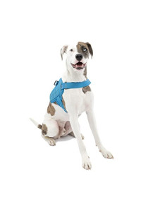Kurgo MOLLE Clip Compatible Tactical Dog Harness, MOLLE Vest for DogsService Dog Training VestService Dog Molle VestRs Townie Dog Harness (Coastal Blue, M), Model:K01974