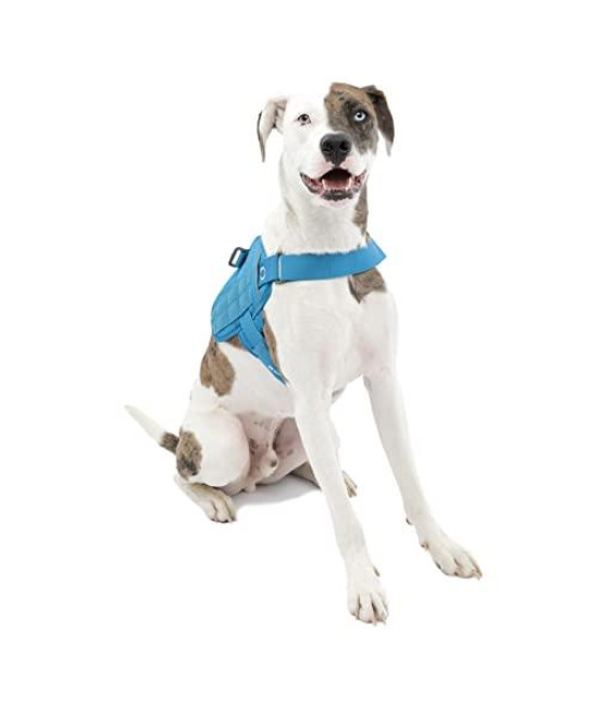 Kurgo MOLLE Clip Compatible Tactical Dog Harness, MOLLE Vest for DogsService Dog Training VestService Dog Molle VestRs Townie Dog Harness (Coastal Blue, M), Model:K01974