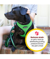 Bark Appeal Step-in Dog Harness, Mesh Step in Dog Vest Harness for Small & Medium Dogs, Non-Choking with Adjustable Heavy-Duty Buckle for Safe, Secure Fit - (XS, Lime Green)