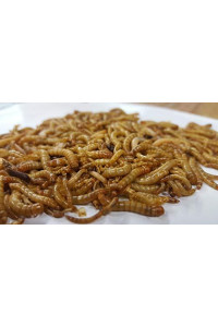 DBDPet Organically Grown Premium 3/4-1" Large Live Mealworms for Reptiles, Leopard Geckos, Small Geckos, Chickens, Fishing, Wild Blue Birds, Wild Birds - Includes a Caresheet (1,100)