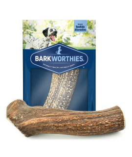 Barkworthies Hand Selected Naturally Shed Extra Large Whole Elk Antler (Single Antler) - Long Lasting, Odor Free Dog Chew for XL Breed Dogs - No Chemical Treatments, No Added Preservatives