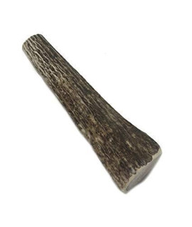 Barkworthies Hand Selected Naturally Shed Large Whole Elk Antler (Single Antler) - Long Lasting, Odor Free Dog Chew for Large Breed Dogs - No Chemical Treatments, No Added Preservatives
