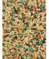 Colorful Companions | Canary Bird Food Blend | Nutritionally Complete | Premium Grains and Seeds | 25 Pound (25 lb.) Bag