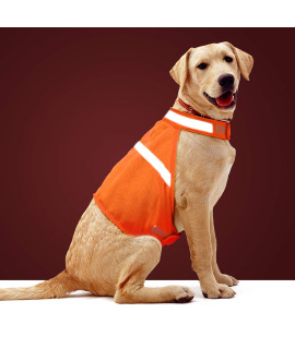 Dog Jacket High Visibility Safety Reflective Dog Vest for Small Medium Large Dogs (Large, Orange)