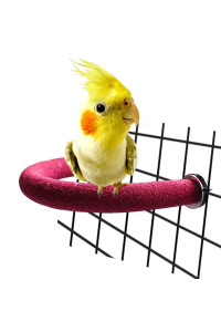 Rypet Parrot Perch Rough-Surfaced - Quartz Sands Bird Cage Perches For Small Parakeets Cockatiels, Conures, Macaws, Parrots, Love Birds, Finches Cages Toy, U Shape