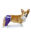 After Surgery Wear Hip And Thigh Wound Protective Sleeve For Dogs Dog Recovery Sleeve Recommended By Vets Worldwide (Medium - Short Sleeve, Purple)