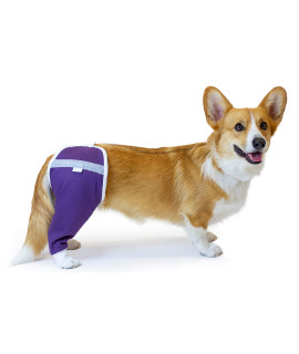 After Surgery Wear Hip And Thigh Wound Protective Sleeve For Dogs Dog Recovery Sleeve Recommended By Vets Worldwide (Medium - Short Sleeve, Purple)