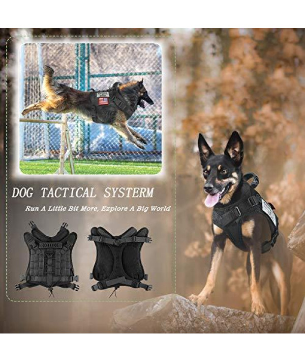 14er Tactical Service Dog Patches, 12-Pack