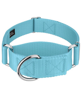 country Brook Petz - 1 12 Inch Martingale Heavyduty Nylon Dog collar (Large, 1 12 Inch Wide, Ocean Blue)