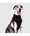 Canada Pooch Expedition Dog Coat Reflective Fleece-Lined Dog Jacket (12, Charcoal), 12 (11-13" Back Length)