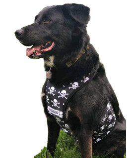 KoolSkinz Pet Cooling and Heating Vest for Dogs and Cats - Adjustable, Lightweight, Durable (Skull & Crossbones, Medium)