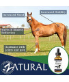 Zatural Equine Hemp Oil 3,000mg - Hemp Seed Oil for Horses - Advanced Equine Formula (3,000mg)