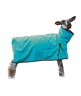 Weaver Leather Sheep Blanket with Solid Butt, Medium, Teal