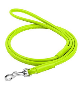 Rolled Leather Dog Leash 6 ft - Soft Dog Lead for Small Medium Large Dogs Puppy - Red Blue Pink Purple Green Pet Leashes for Outdoor Walking Running Training Plus (Light Green, 6 Ft x 5/16" Wide)