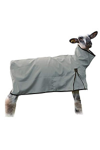 Weaver Leather Sheep Blanket with Solid Butt, Small, Gray