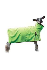 Weaver Leather Sheep Blanket with Solid Butt, Small, Lime