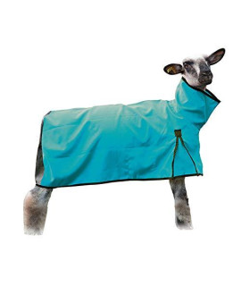 Weaver Leather Sheep Blanket with Mesh Butt, Large, Teal
