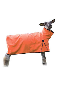 Sheep Blanket with Solid Butt, Medium, Orange