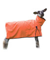 Sheep Blanket with Solid Butt, Medium, Orange