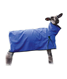 Weaver Leather Sheep Blanket with Solid Butt, Medium, Blue