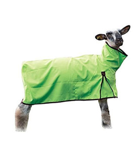 Weaver Leather Sheep Blanket with Solid Butt, Medium, Lime