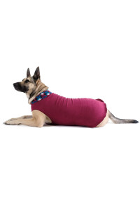 Gold Paw Duluth Double Fleece Dog Coat Pullover - Soft, Warm Dog Clothes, 4-Way Stretch Pet Sweater - Machine Washable, All-Season, Garnet/Winter Mod, Size 10