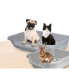 Kitty Go Here Senior Cat Litter Box, Beach Sand Color, 2 Pans in one Box, Save on Shipping, Large 24" x 20" x 5". USA Made