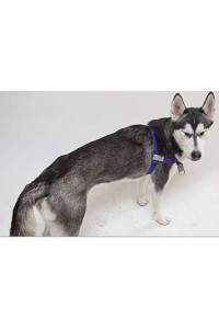 Walk Your Dog With Love No-Choke No-Pull Front-Leading Dog Harnesses - Original Edition-Deep Purple-110-250 lbs (50-113 kg)