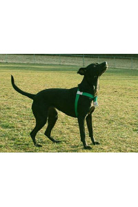 Walk Your Dog With Love No-Choke No-Pull Front-Leading Dog Harnesses - Original Edition-Kelly Green-110-250 lbs (50-113 kg)
