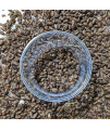 DBDPet Premium Live Dubia Roaches 1,001ct Small (0.25-0.375") - Bearded Dragon, Leopard Gecko, Phelsuma, Chameleon, and Other Small Reptile Food - Includes a Caresheet