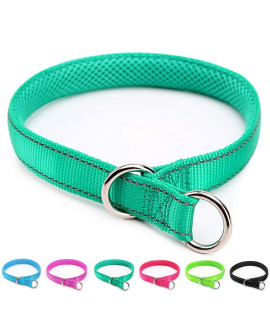 Mycicy Reflective Slip Collar, Soft Nylon Training Choke Collar For Dogs In Turquoise 22, Wide 1
