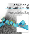 ThinkPet Reflective Breathable Soft Air Mesh No Pull Puppy Choke Free Over Head Vest Ventilation Harness for Puppy Small Medium Dogs and Cats(XS,Light Blue)
