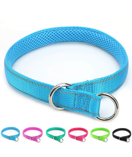 Mycicy Reflective Slip Collar, Soft Nylon Training Choke Collar For Dogs In Teal 22, Wide 1