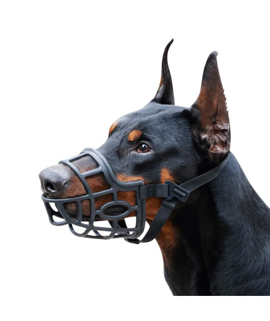 Dog Muzzle, Breathable Basket Muzzles for Small, Medium, Large and X-Large Dogs, Stop Biting, Barking and chewing (M - Border collie, Black)
