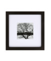 Egofine 8x8 Picture Frame Black, Made of Solid Wood for Table Top Display and Wall Mounting Photo Frame