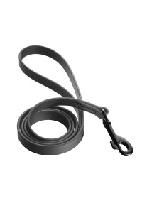 Dogline Biothane Waterproof Dog Leash Strong coated Nylon Webbing with Black Hardware Odor-Proof for Easy care Easy to clean High Performance for Small or Large Dogs Made in USA 4 or 6 ft Lead