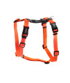 Blue-9 Buckle-Neck Balance Harness, Fully Customizable Fit No-Pull Harness, Ideal for Dog Training and Obedience, Made in The USA, Orange, Large
