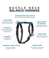 Blue-9 Buckle-Neck Balance Harness, Fully Customizable Fit No-Pull Harness, Ideal for Dog Training and Obedience, Made in The USA, Orange, Large