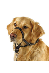Dog Head collar, No Pull Training Tool for Dogs on Walks, Includes Free Training guide, 5
