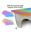 Piggies Choice The Space House All Natural Sturdy Pine Wood Corner Hideout Hidey Guinea Pig Hut (Rainbow)
